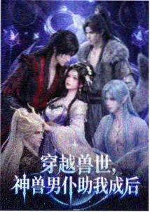 南宫婉人物关系封面